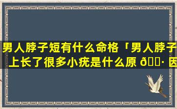 男人脖子短有什么命格「男人脖子上长了很多小疣是什么原 🕷 因」